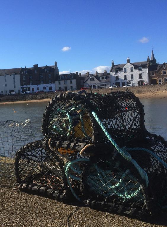 Arduthie House Bed & Breakfast Stonehaven Eksteriør bilde
